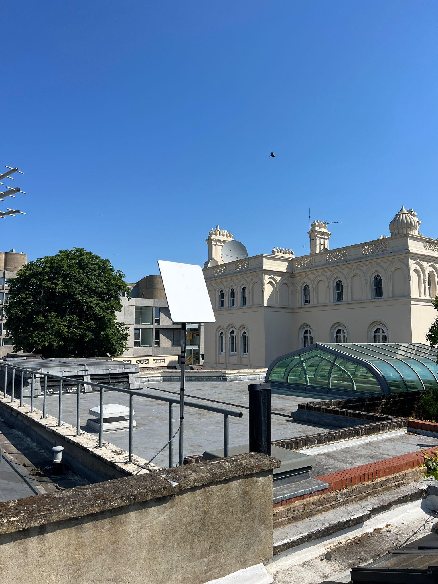 Starlink installation in Kensington